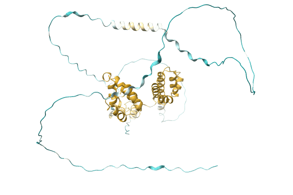 AF-A0A1E3H8U7-F1 image