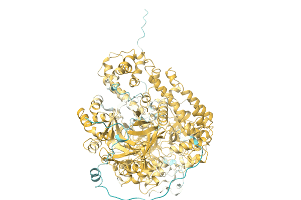 AF-A0A1E3J0K0-F1 image