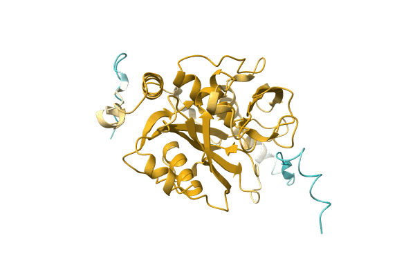 AF-A0A1E3J0K8-F1 image