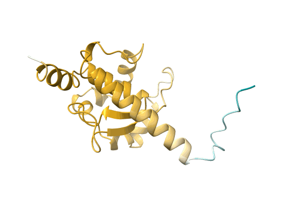 AF-A0A1E3J0P5-F1 image