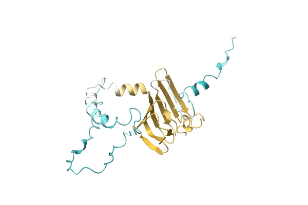 AF-A0A1E3U4Z4-F1 image