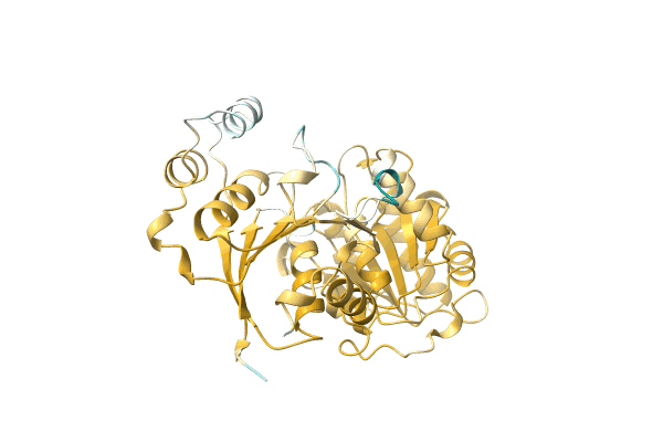 AF-A0A1E3VVY6-F1 image