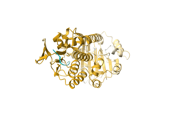 AF-A0A1E3VVZ4-F1 image