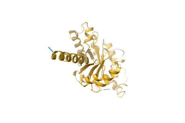 AF-A0A1E4A8P2-F1 image