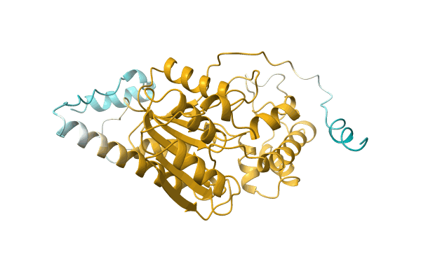 AF-A0A1E4S2N7-F1 image