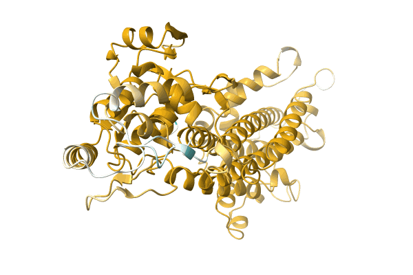 AF-A0A1E5GRJ6-F1 image