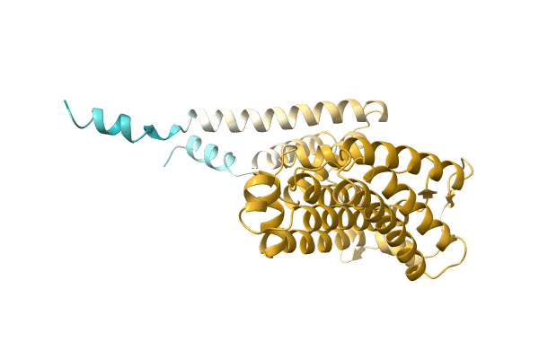 AF-A0A1E5KJ81-F1 image