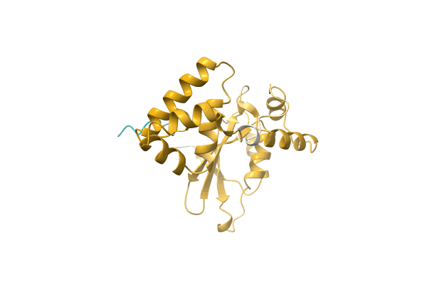 AF-A0A1E5LAN5-F1 image