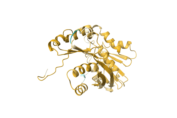 AF-A0A1E5LAP4-F1 image