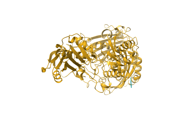 AF-A0A1E5NB85-F1 image