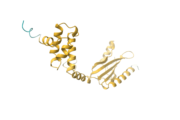 AF-A0A1E5NBB5-F1 image