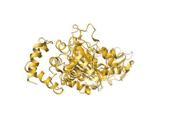 AF-A0A1E5NBC2-F1 image