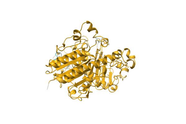 AF-A0A1E5NGV5-F1 image