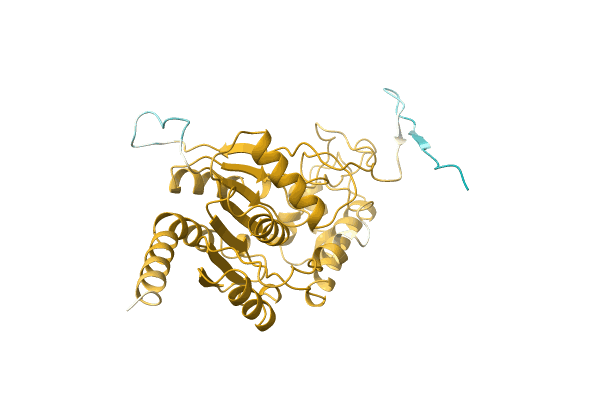 AF-A0A1E5RUL9-F1 image