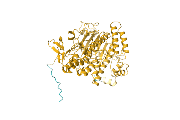 AF-A0A1E7MYN1-F1 image