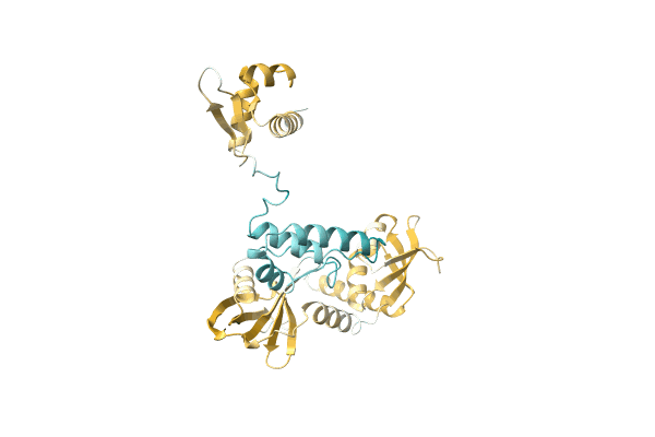 AF-A0A1F1EYD2-F1 image