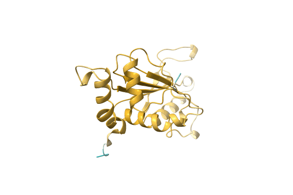 AF-A0A1F1F448-F1 image