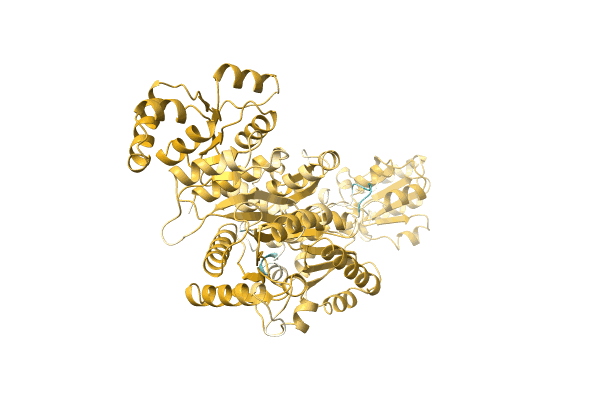 AF-A0A1F1F4N6-F1 image