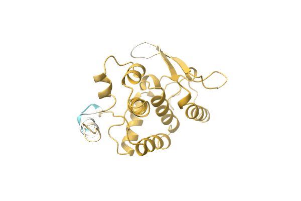 AF-A0A1F1JRS2-F1 image