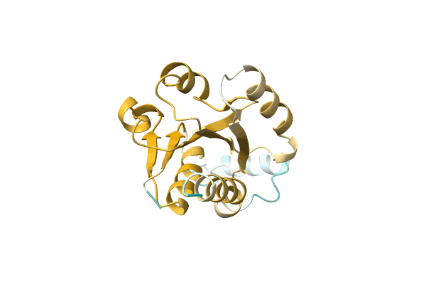 AF-A0A1F1JS86-F1 image