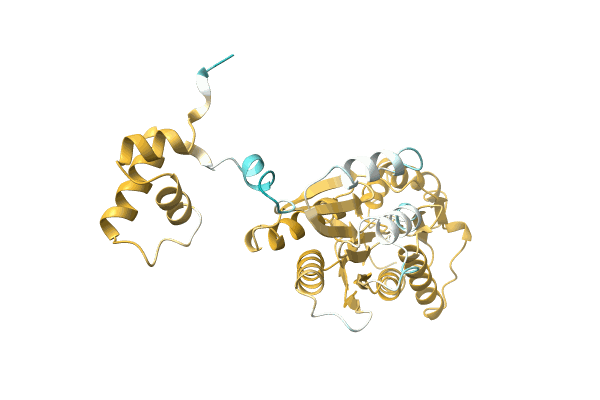 AF-A0A1F1JSG9-F1 image