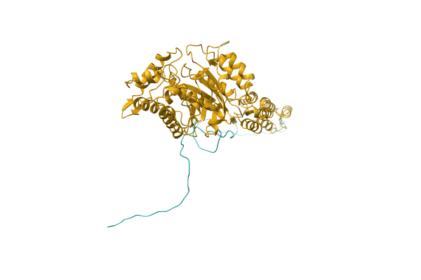 AF-A0A1F1JT84-F1 image