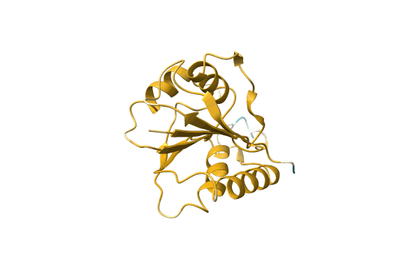 AF-A0A1F2VDI6-F1 image