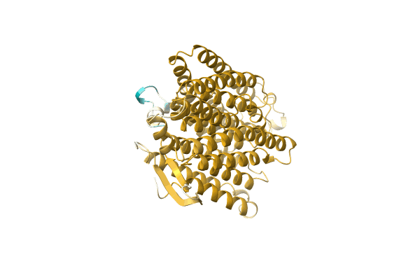 AF-A0A1F2WZH4-F1 image
