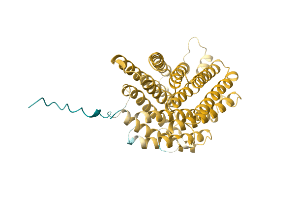 AF-A0A1F2WZJ8-F1 image