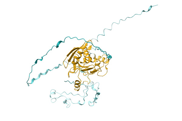 AF-A0A1F2XR69-F1 image