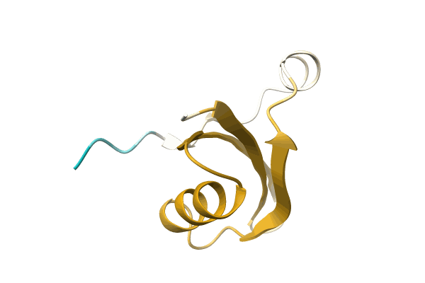 AF-A0A1F2XRI3-F1 image