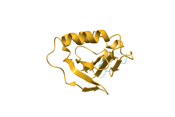 AF-A0A1F2XZY6-F1 image