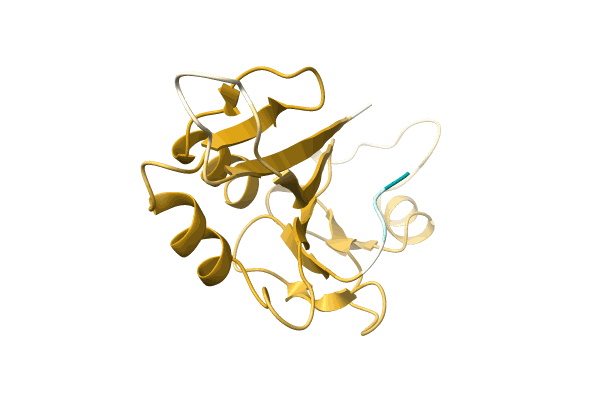 AF-A0A1F5DBM9-F1 image