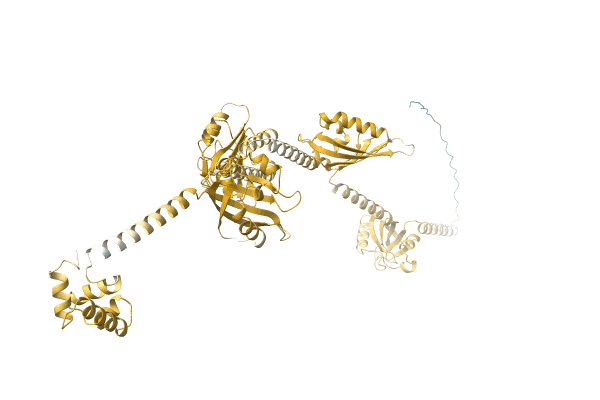 AF-A0A1F8RP14-F1 image