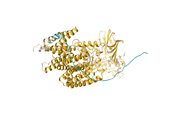 AF-A0A1F8RP18-F1 image