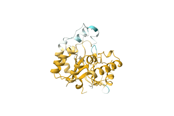 AF-A0A1F8RP30-F1 image