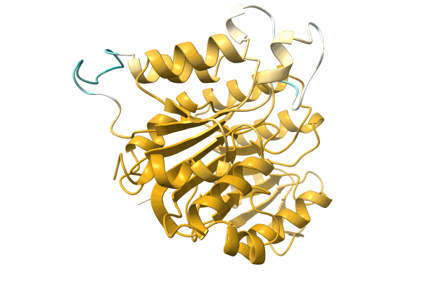 AF-A0A1F8RP32-F1 image