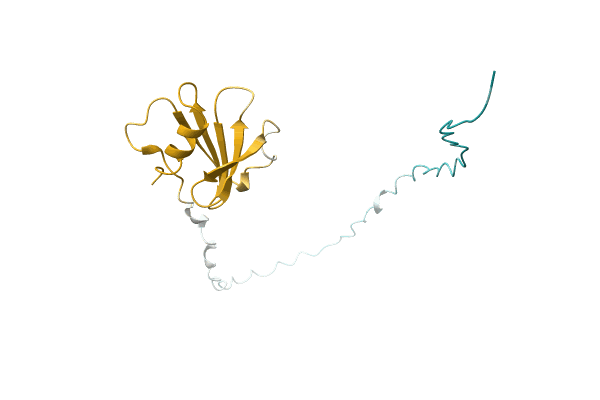 AF-A0A1F8T996-F1 image