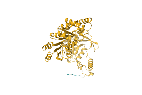 AF-A0A1F8UCT8-F1 image