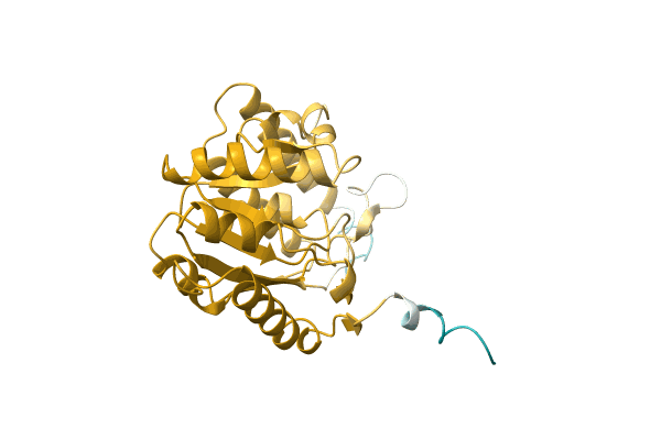 AF-A0A1G1C2J6-F1 image