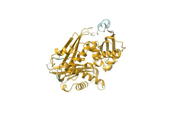 AF-A0A1G1CJ92-F1 image