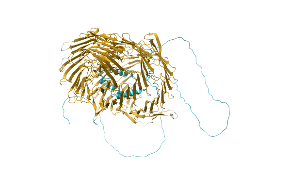 AF-A0A1G1CJJ1-F1 image