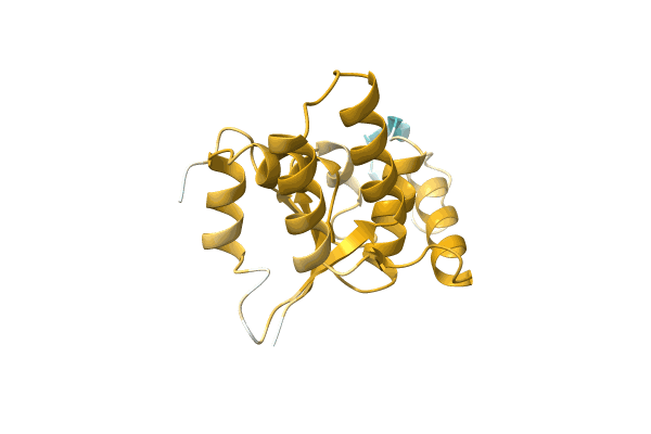 AF-A0A1G1CJX4-F1 image