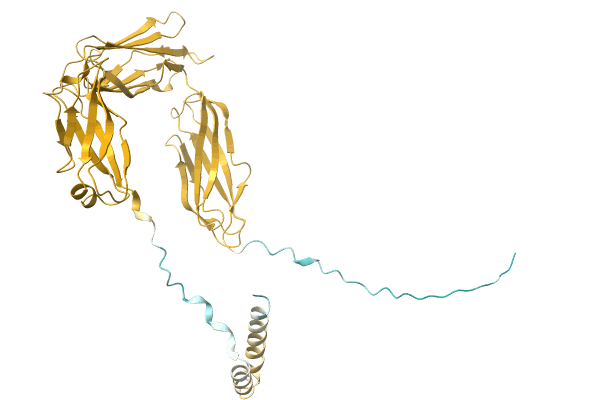 AF-A0A1G1CK39-F1 image