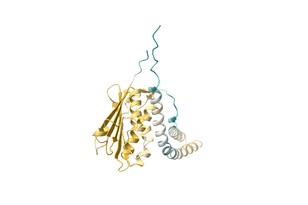 AF-A0A1G1G7H7-F1 image