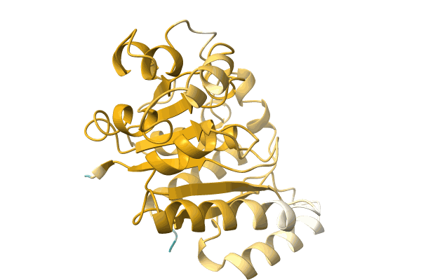 AF-A0A1G3L4X4-F1 image