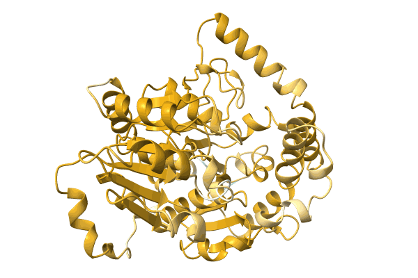 AF-A0A1G4XH87-F1 image