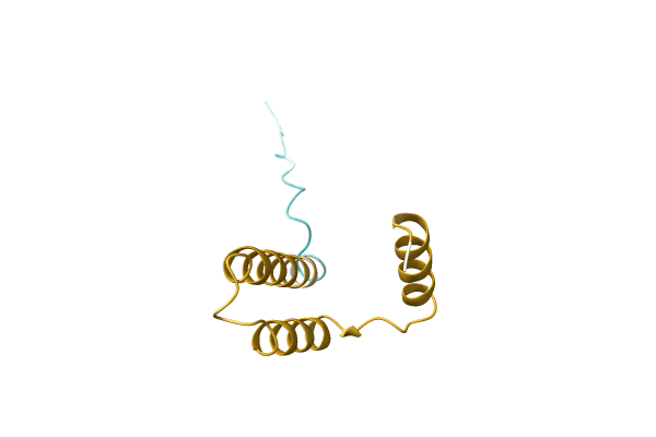 AF-A0A1G4XH89-F1 image