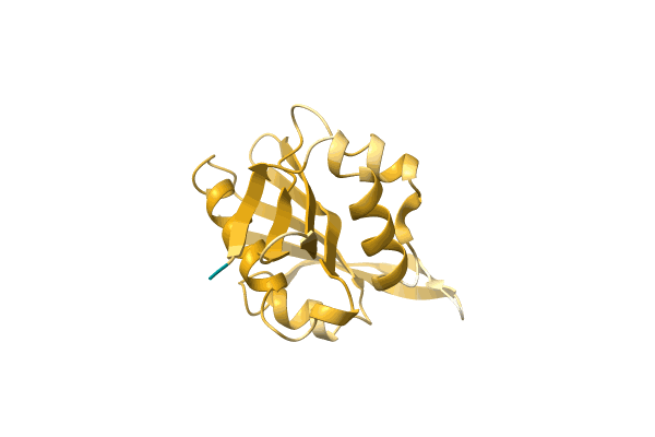 AF-A0A1G4Y697-F1 image