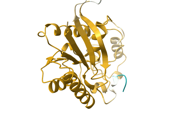 AF-A0A1G4Y6J5-F1 image